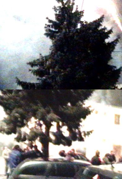img00031.jpg